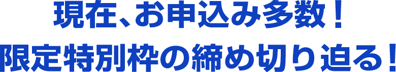 特別限定枠